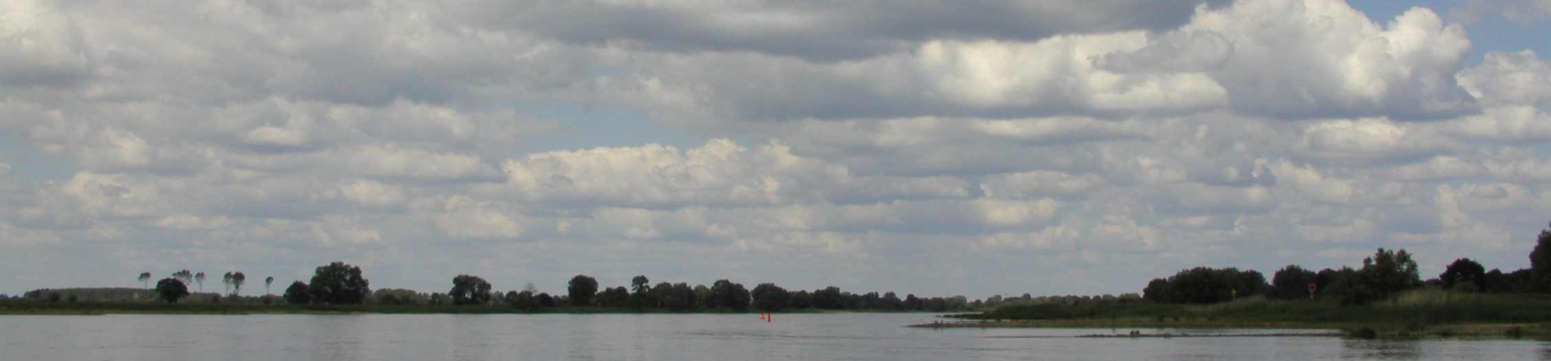 Die Elbe bei Sandau